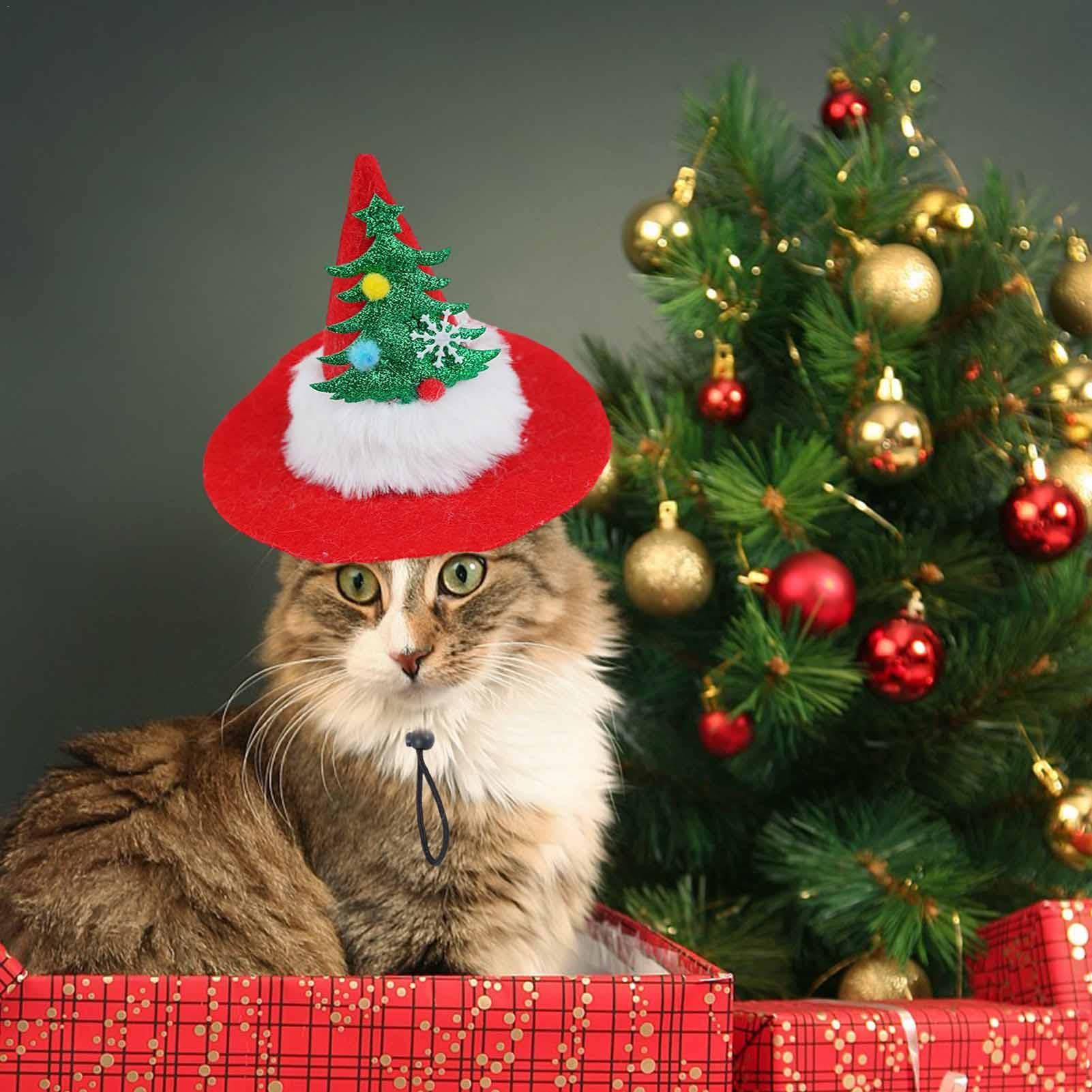 Amazon | クリスマス ペット サンタ帽子 | 写真 猫のクリスマス帽子